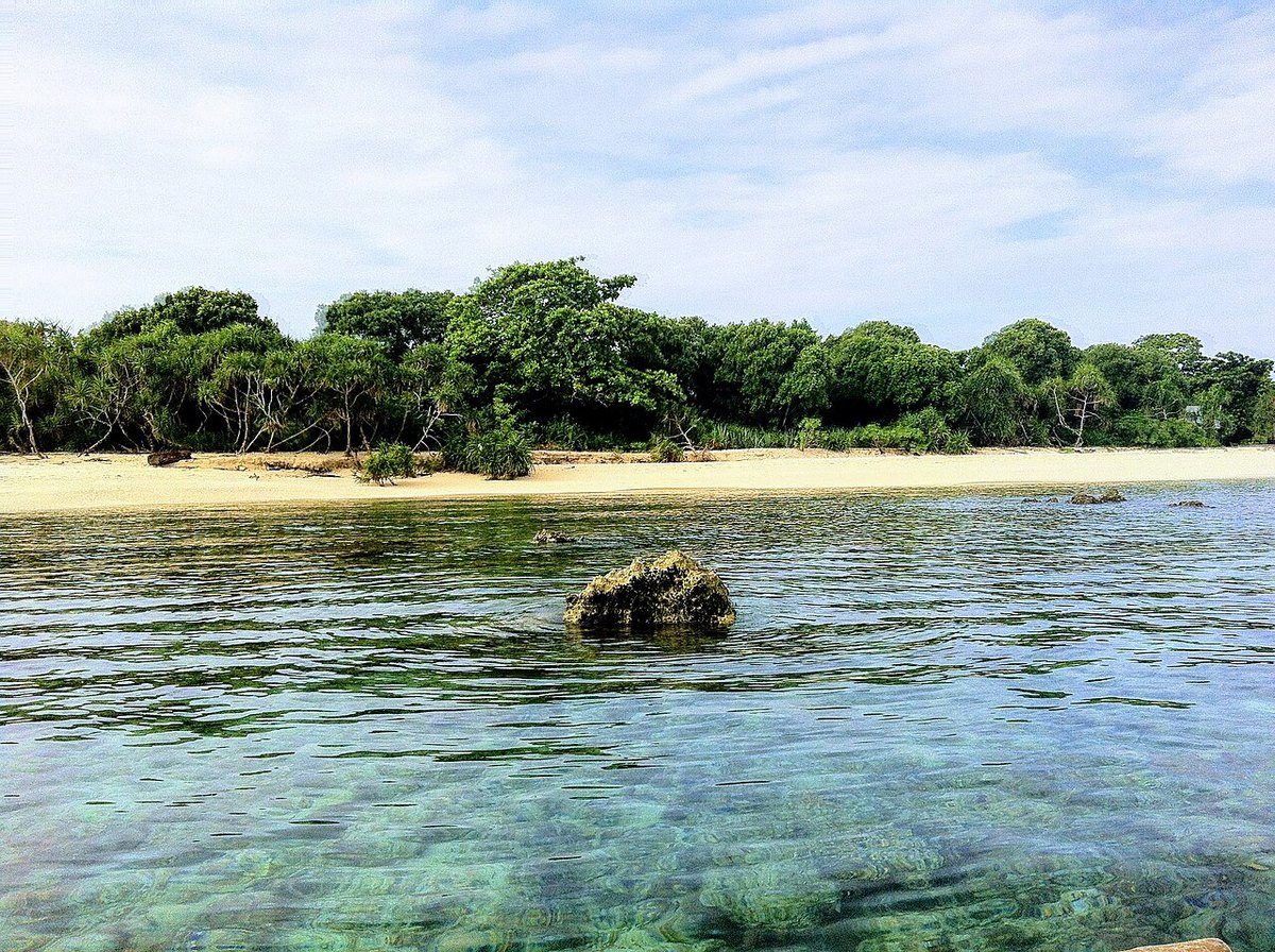 追海豚+巴黎卡萨浮潜