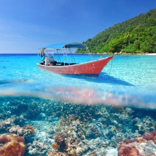 跳岛出海包船