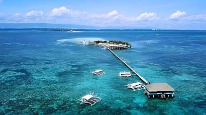 资深堂岛+NALUSUAN双岛出海
