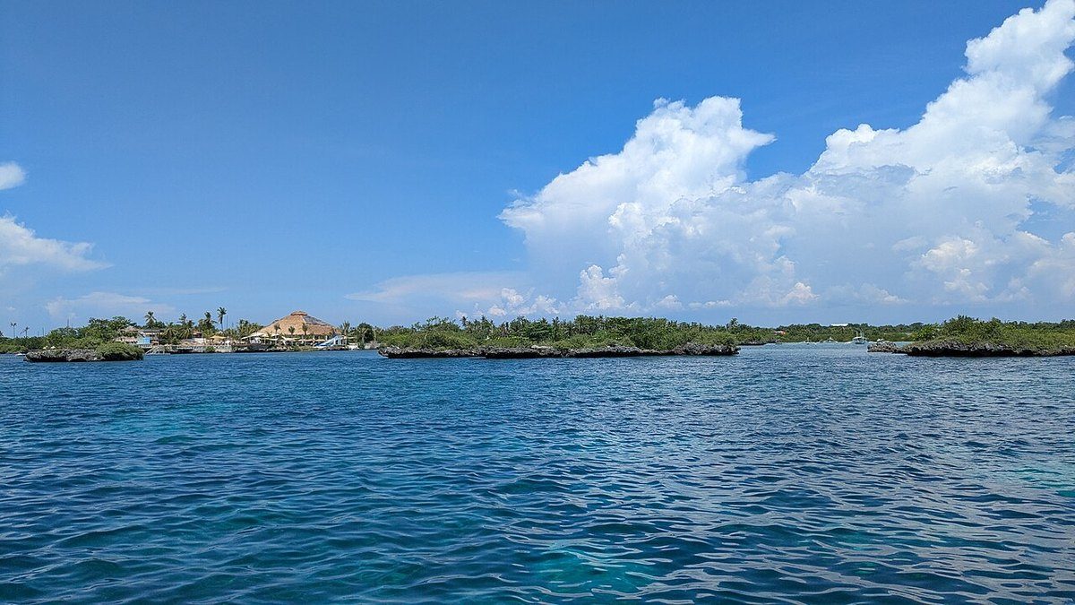 资深堂岛出海